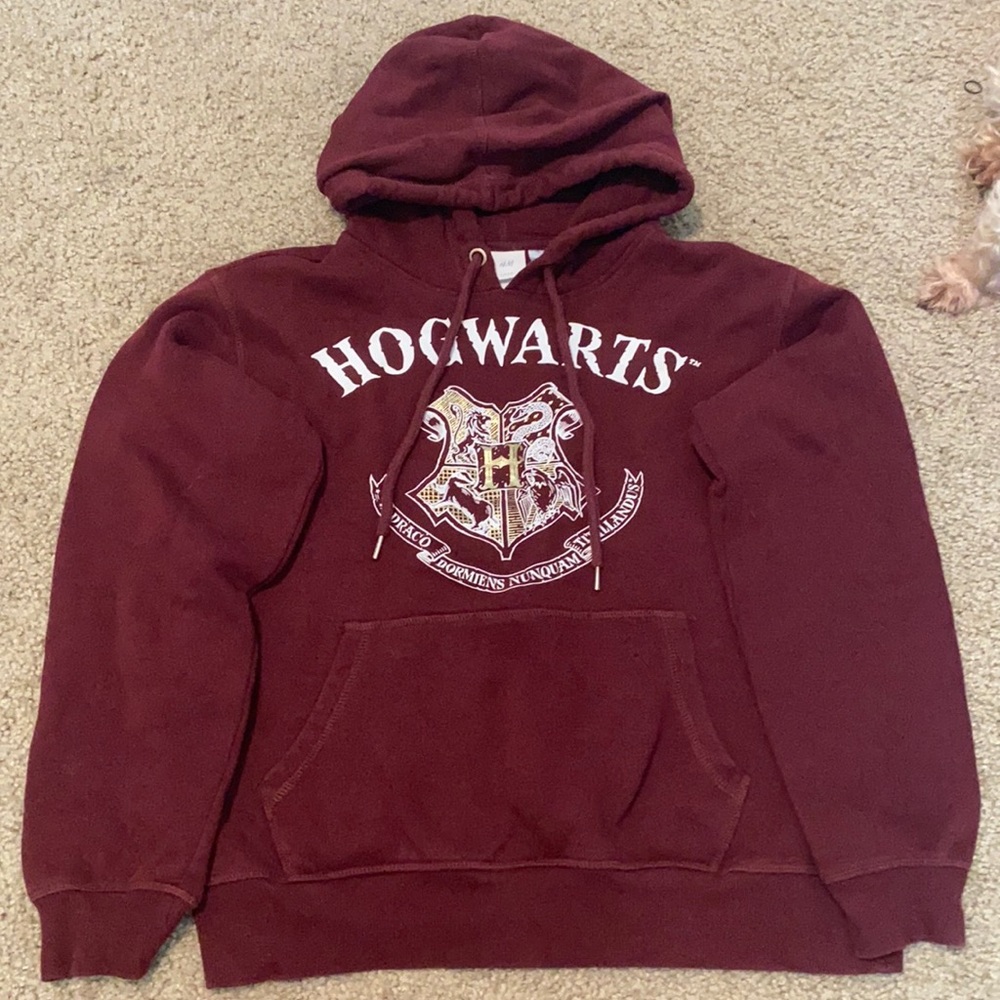 Hogwarts Hoodie ⚡️